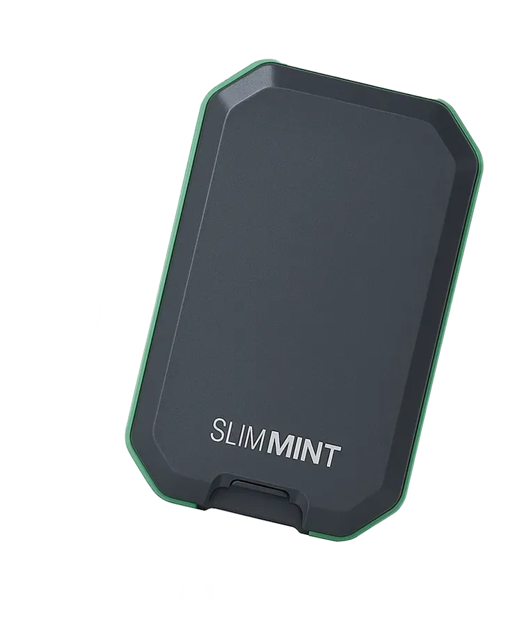 TARJETERO ANTIROBO Slim Mint